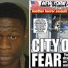 Hudson River Park Rape Suspect Claims He Blacked Out On Four Loko, Doesn't Remember Attack